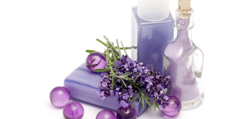 Top 7 Công dụng của tinh dầu Oải Hương Lavender