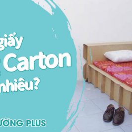 giá giường giấy bằng carton - dinhduongplus