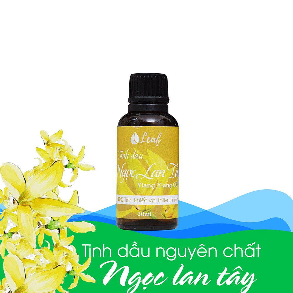 tinh dầu ngọc lan tây đà nẵng - dinhduongplus - 0935057074