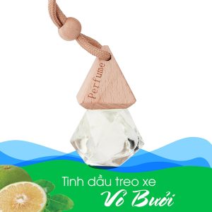 Tinh dầu treo xe ô tô Đà Nẵng - Dinh Dưỡng PLus - 0935057074