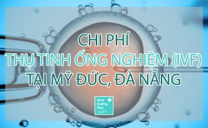 Chi phí IVF tại Mỹ Đức Đà Nẵng 1 lần là bao nhiêu
