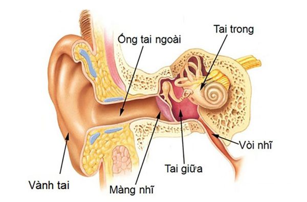 Phòng khám viêm tai giữa tại Tam Kỳ, Quảng Nam 