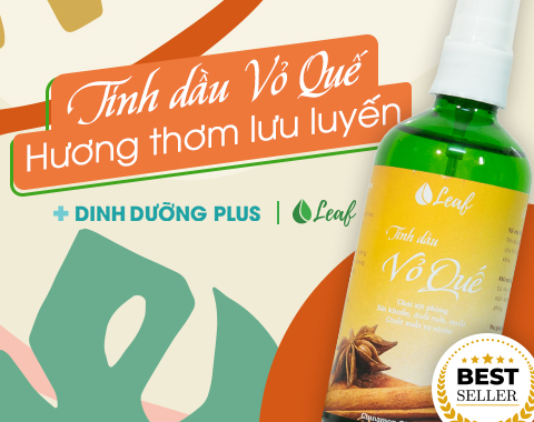 Tinh dầu quế xịt phòng - Dinhduongplus