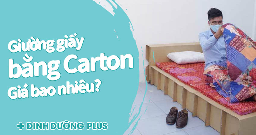 giá giường giấy bằng carton - dinhduongplus