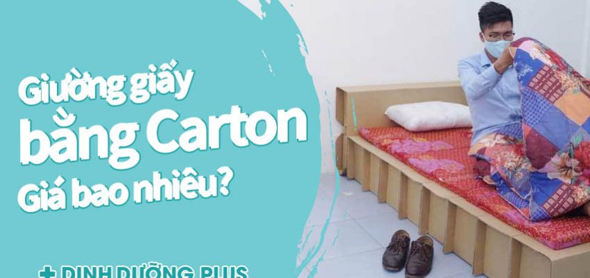 giá giường giấy bằng carton - dinhduongplus