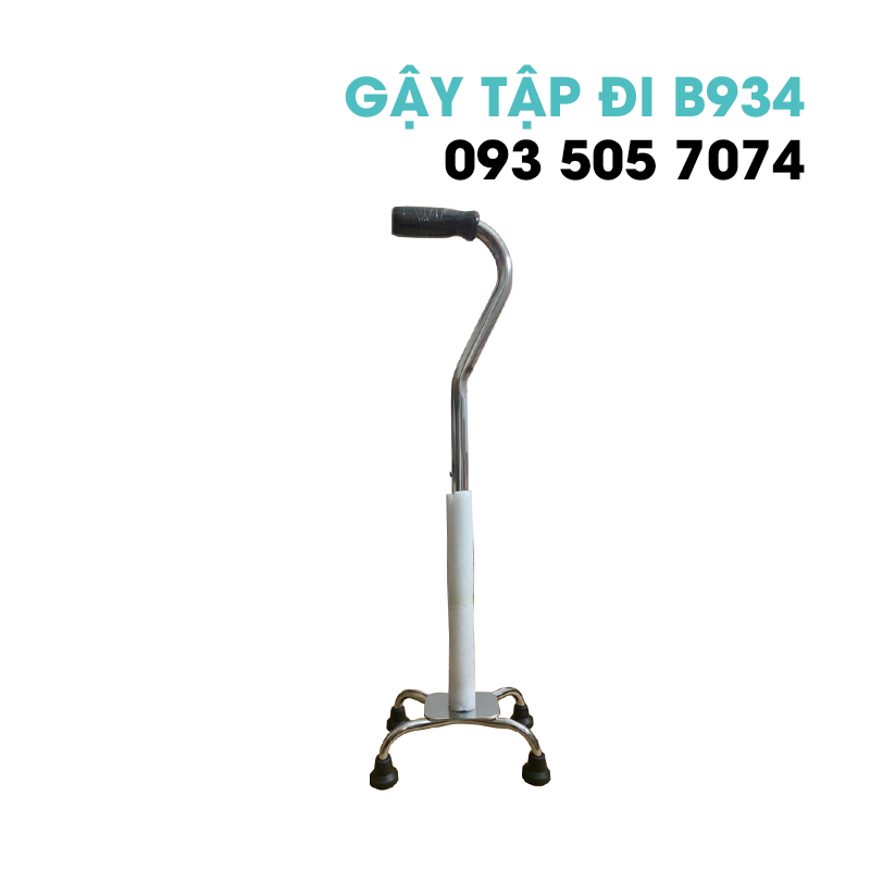GẬY TẬP ĐI ĐÀ NẴNG B934