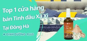 tinh dầu xá xị tại đông hà, quảng trị