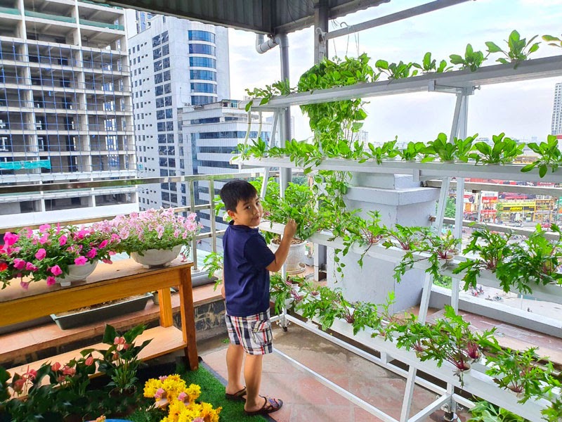 giàn rau thuỷ canh tại đà nẵng