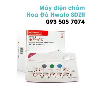máy điện châm tại đà nẵng