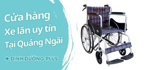 xe lăn tại quảng ngãi